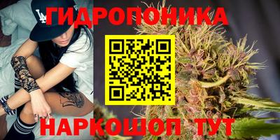 дурь Тула