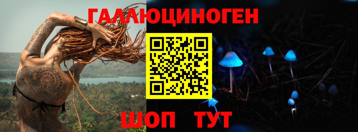 Новоалександровск  Галлюциногенные грибы Magic Shrooms  Вход с VPN 