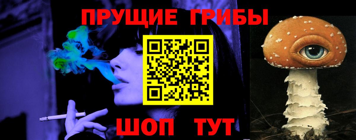 Галлюциногенные грибы Cubensis Новоалександровск